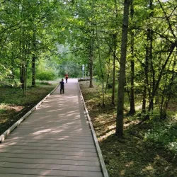 Happy Valley Park - Happy Valley