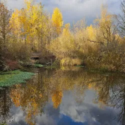 Happy Valley Park - Happy Valley