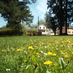 Mount Scott Park - Happy Valley