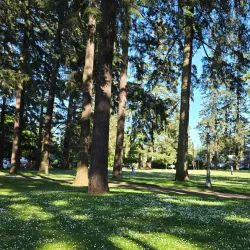 Mount Scott Park - Happy Valley