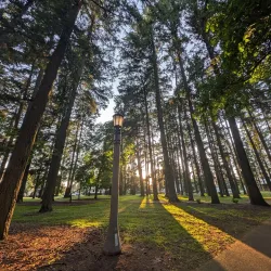 Mount Scott Park - Happy Valley