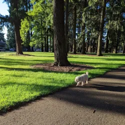 Mount Scott Park - Happy Valley
