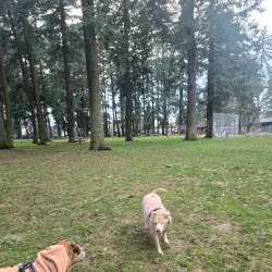 Mount Scott Park - Happy Valley