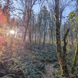 Mount Talbert Nature Park - Happy Valley