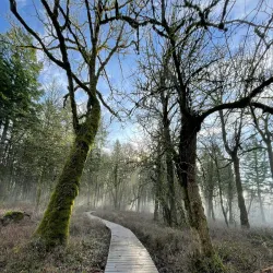Mount Talbert Nature Park - Happy Valley
