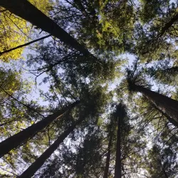Mount Talbert Nature Park - Happy Valley