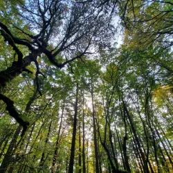 Mount Talbert Nature Park - Happy Valley