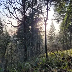 Mount Talbert Nature Park - Happy Valley