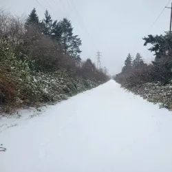 Springwater Corridor Trail - Happy Valley