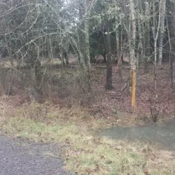 Springwater Corridor Trail - Happy Valley