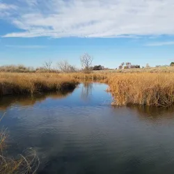 McNary National Wildlife Refuge - Hermiston