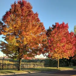 Glencoe Regional Park - Hillsboro