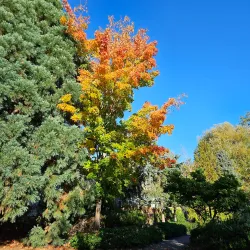 Glencoe Regional Park - Hillsboro