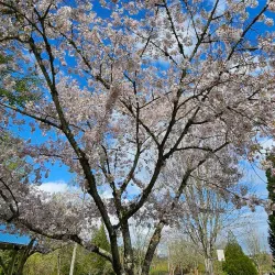 Glencoe Regional Park - Hillsboro