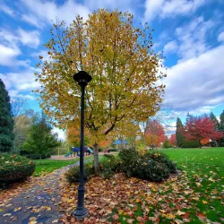 Glencoe Regional Park - Hillsboro