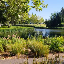 Hillsboro Public Library - Hillsboro