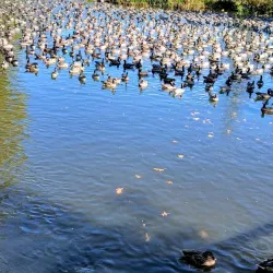 Hillsboro Public Library - Hillsboro