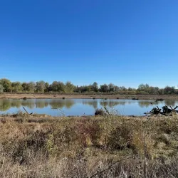 Jackson Bottom Wetlands Preserve - Hillsboro
