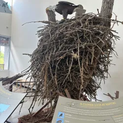 Jackson Bottom Wetlands Preserve - Hillsboro