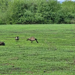 Jackson Bottom Wetlands Preserve - Hillsboro
