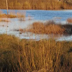 Jackson Bottom Wetlands Preserve - Hillsboro