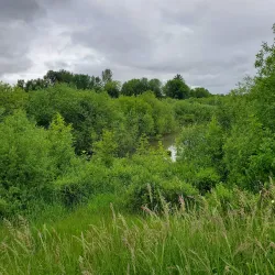 Jackson Bottom Wetlands Preserve - Hillsboro