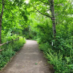 Jackson Bottom Wetlands Preserve - Hillsboro
