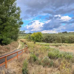 Jackson Bottom Wetlands Preserve - Hillsboro
