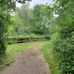 Jackson Bottom Wetlands Preserve - Hillsboro