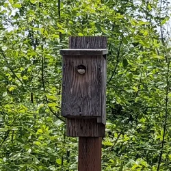 Jackson Bottom Wetlands Preserve - Hillsboro