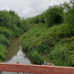 Jackson Bottom Wetlands Preserve - Hillsboro