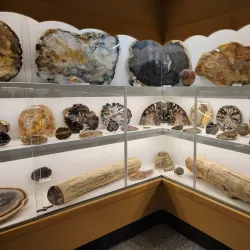 Rice Northwest Museum of Rocks and Minerals - Hillsboro