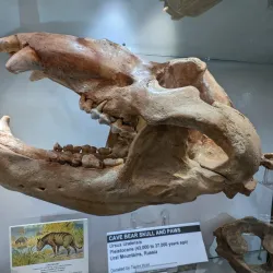 Rice Northwest Museum of Rocks and Minerals - Hillsboro