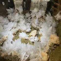 Rice Northwest Museum of Rocks and Minerals - Hillsboro