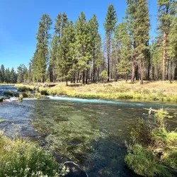 Collier Memorial State Park - Klamath Falls