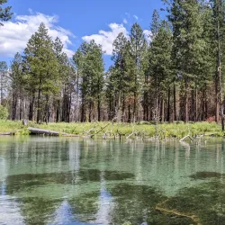 Collier Memorial State Park - Klamath Falls