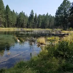 Collier Memorial State Park - Klamath Falls