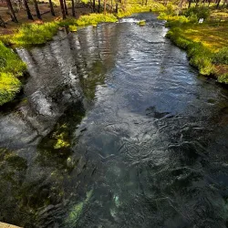 Collier Memorial State Park - Klamath Falls