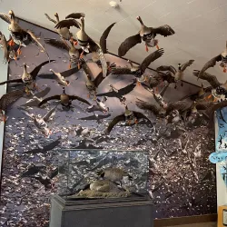 Klamath Basin National Wildlife Refuge Complex - Klamath Falls