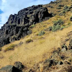 Klamath Basin National Wildlife Refuge Complex - Klamath Falls