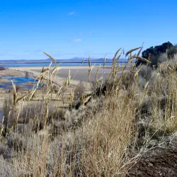 Klamath Basin National Wildlife Refuge Complex - Klamath Falls