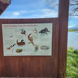 Klamath Basin National Wildlife Refuge Complex - Klamath Falls