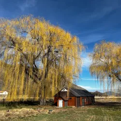 Klamath Basin National Wildlife Refuge Complex - Klamath Falls