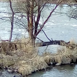 Link River Trail - Klamath Falls