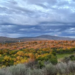 Moore Park - Klamath Falls