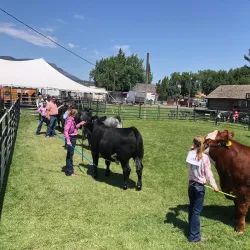 Union County Fairgrounds - La Grande