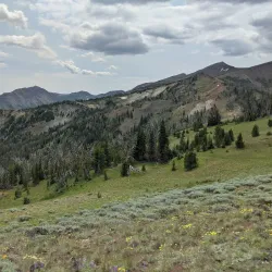 Wallowa-Whitman National Forest - La Grande