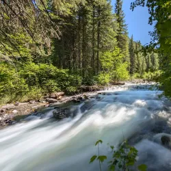 Wallowa-Whitman National Forest - La Grande