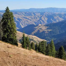 Wallowa-Whitman National Forest - La Grande