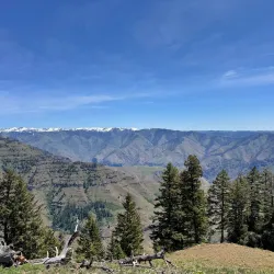 Wallowa-Whitman National Forest - La Grande